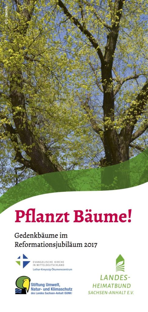 Baeume_Faltblatt